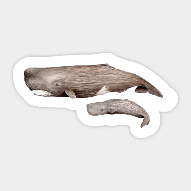 Sperm whale Sticker by chloeyzoard